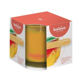   STR Bolsius Jar True Scents mangó illatú gyertya 95/95 mm (2172713)